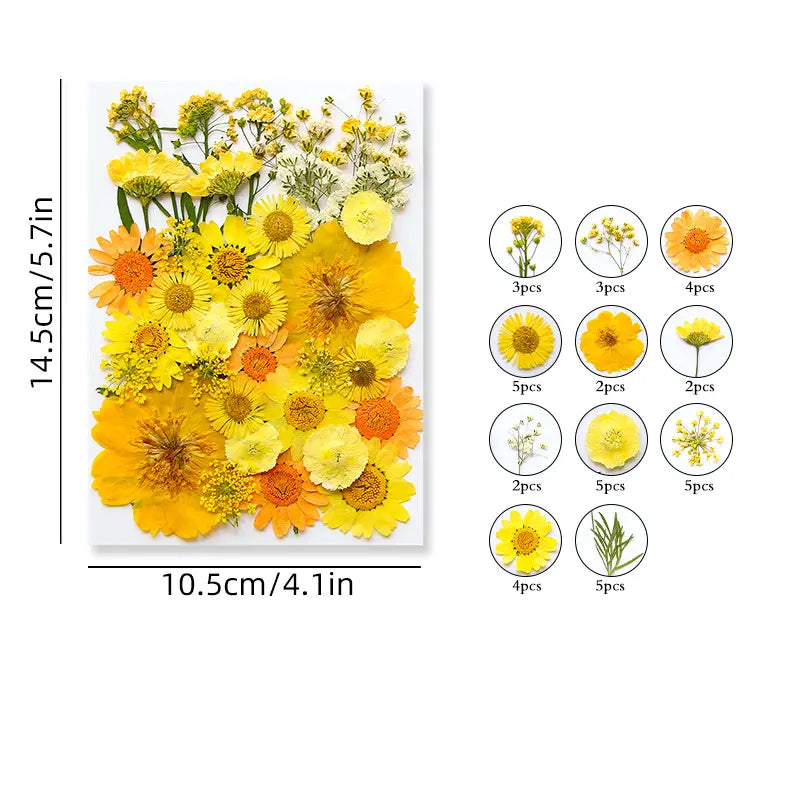 Assorted Flowers and Leaves - Summer Yellow