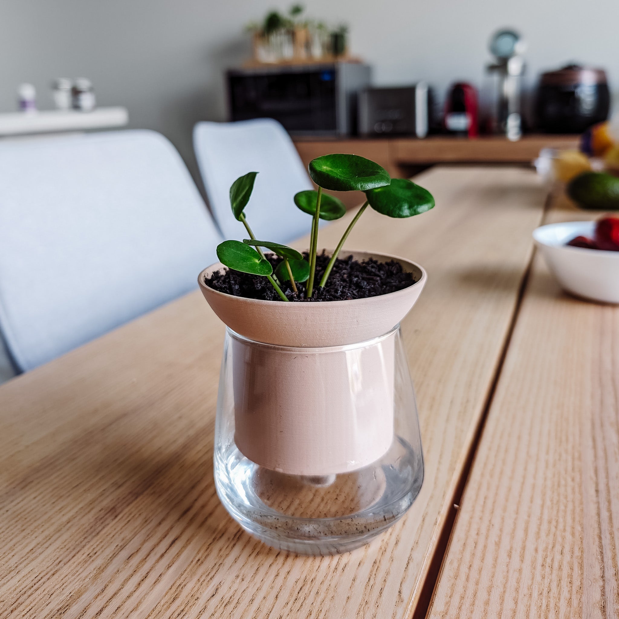 self watering pot plants Self-Watering Planter, Small