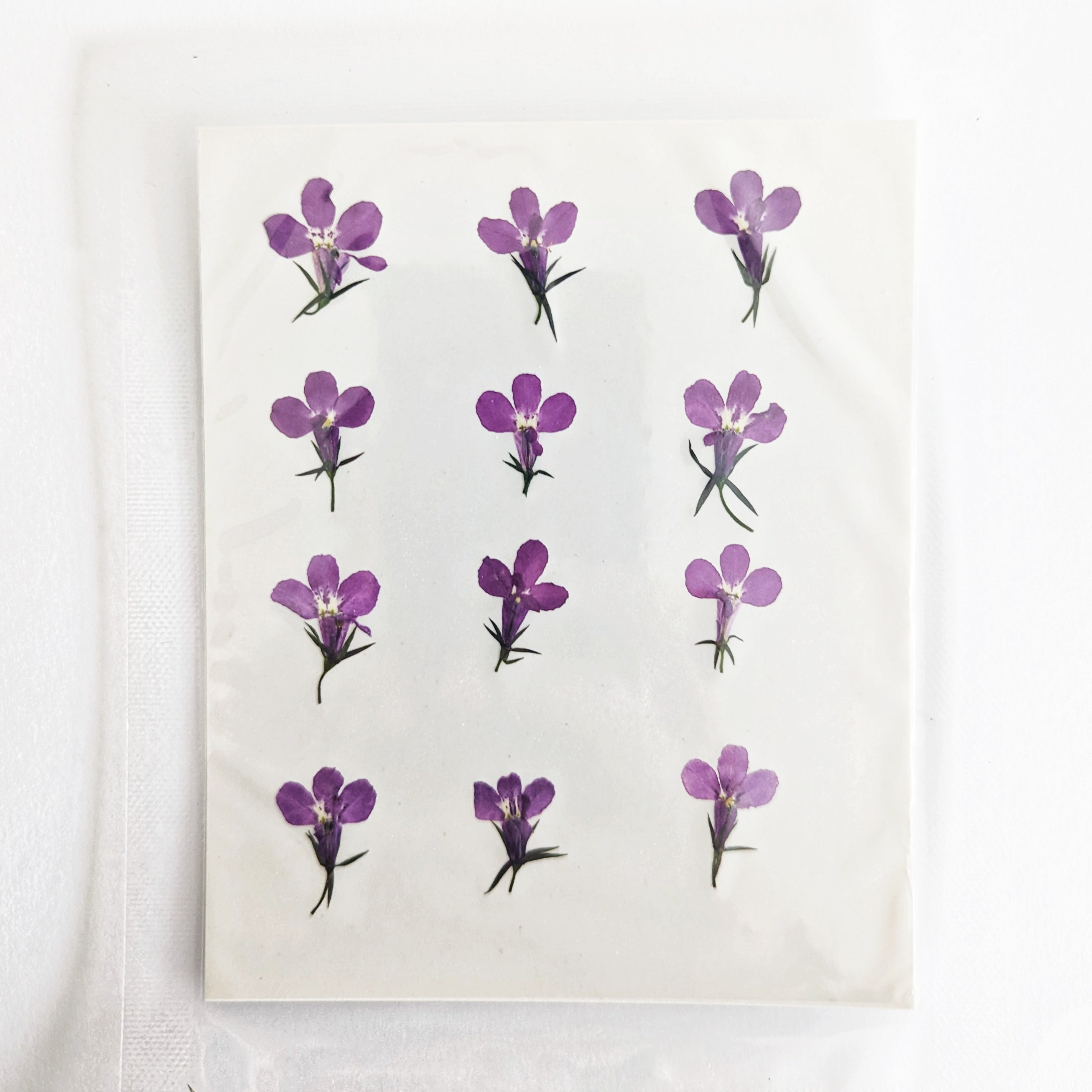Dried Pressed Mini Purple Flowers - 12 pcs